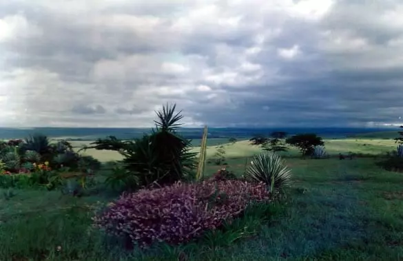 View of Nairobi National Park from the Lamu suite.