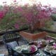 Sundowner dinner overlooking National Park